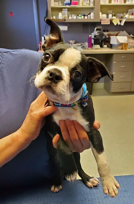 Southport Veterinary Center 12