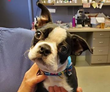 Southport Veterinary Center