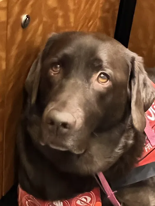 Southport Veterinary Center 12