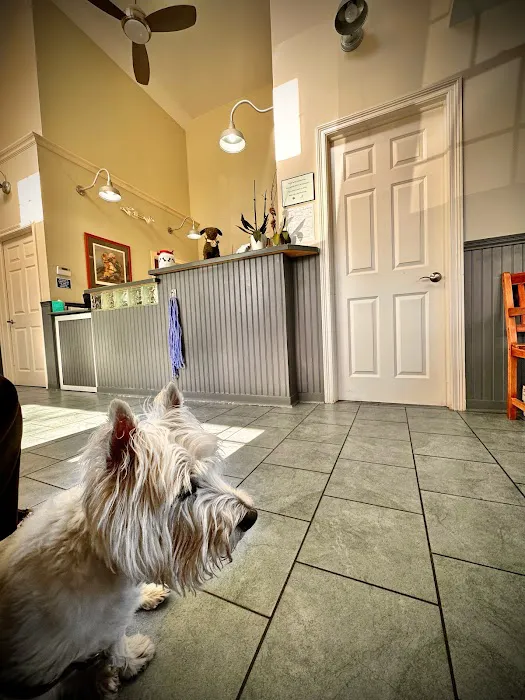 Fairfield Veterinary Hospital 12