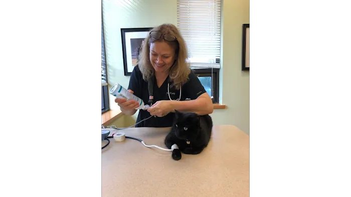 AristoKatz - Veterinary Care for Cats 12