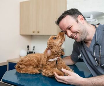 Bond Vet - Fairfield