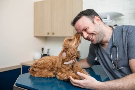 Bond Vet - Fairfield
