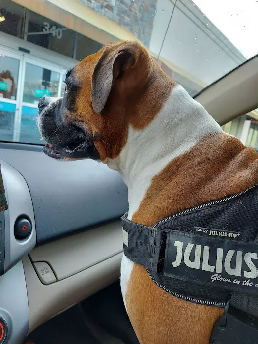 Highway Animal Hospital 12