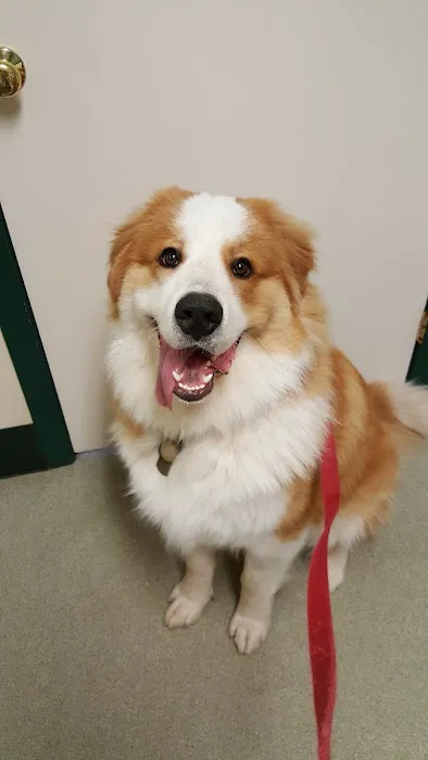 Highway Animal Hospital 12