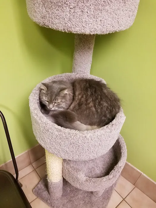 Trumbull Animal Hospital 12
