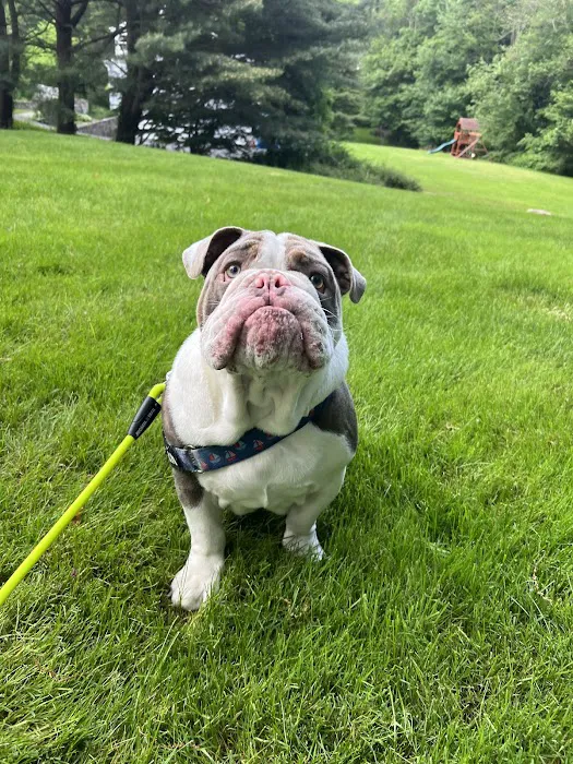 Trumbull Animal Hospital 12