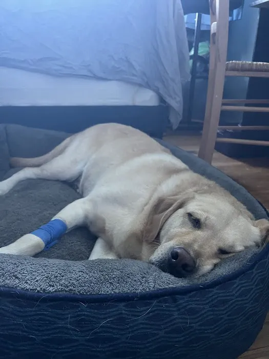Trumbull Animal Hospital 12