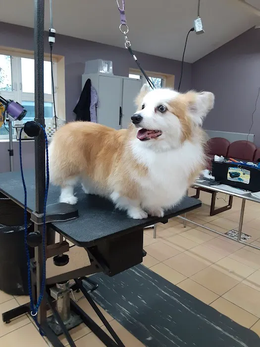 Reid Veterinary Center 12