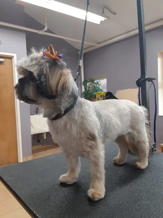 Reid Veterinary Center 12
