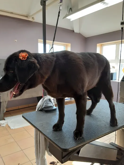 Reid Veterinary Center 12