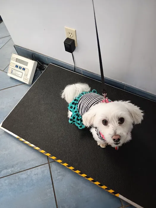 Reid Veterinary Center 12