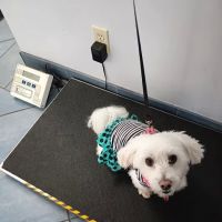 Reid Veterinary Center ico