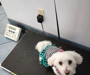 Reid Veterinary Center