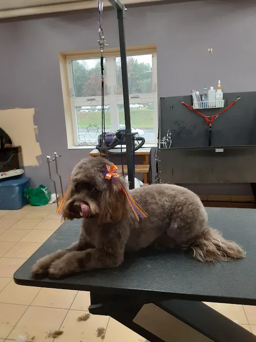 Reid Veterinary Center 12