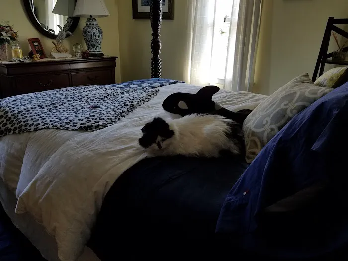 Home Veterinary Services 12