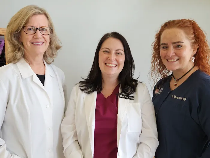 Millerton Veterinary Practice, PLLC 1