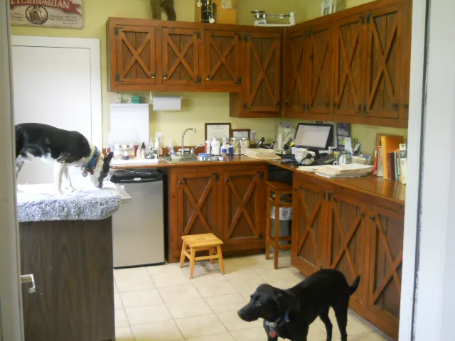Integrative Animal Care 1