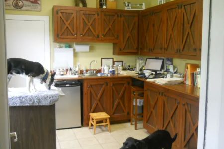 Integrative Animal Care