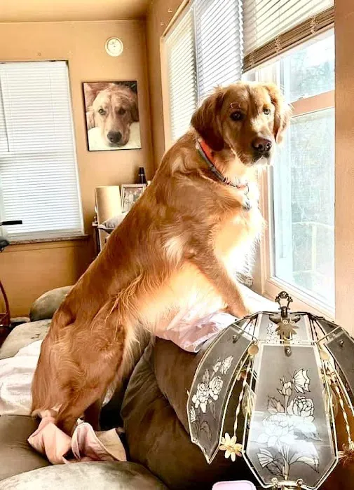 Copake Veterinary Hospital 6