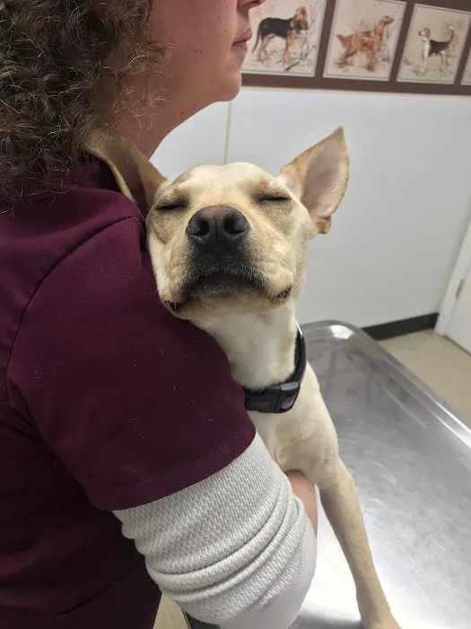 Copake Veterinary Hospital 4