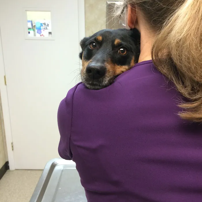 Copake Veterinary Hospital 5