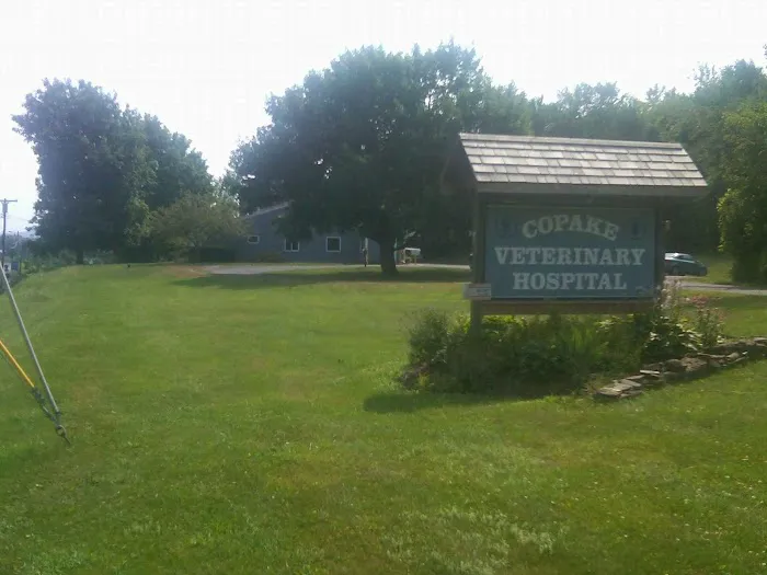 Copake Veterinary Hospital 8