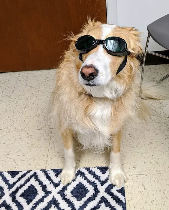 Copake Veterinary Hospital 9