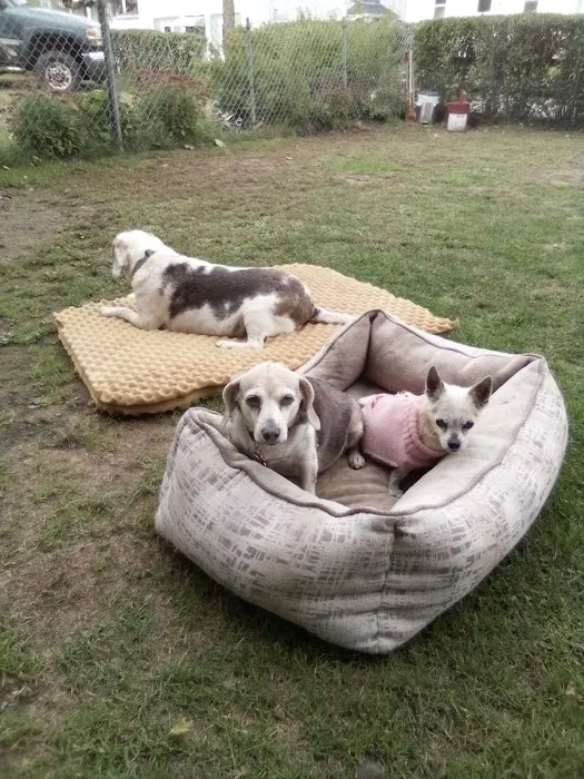Sand Road Animal Hospital 5
