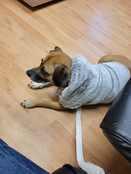 Berkshire Animal Care 6