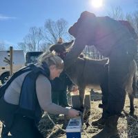 Tri-State Veterinary Services, LLC ico