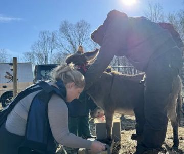 Tri-State Veterinary Services, LLC