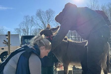 Tri-State Veterinary Services, LLC