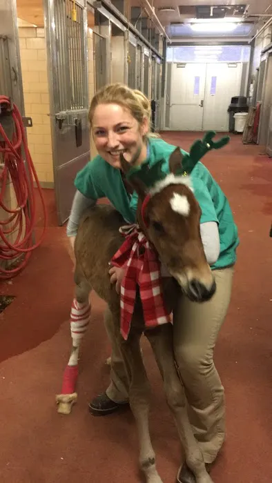 Tri-State Veterinary Services, LLC 12