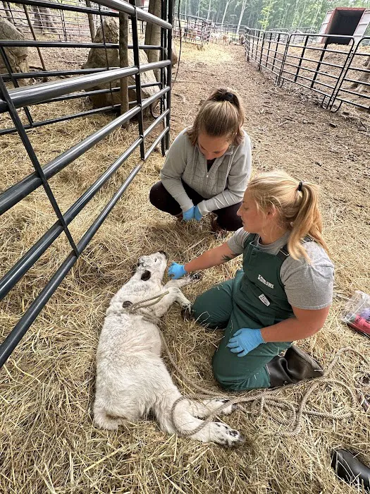 Tri-State Veterinary Services, LLC 12