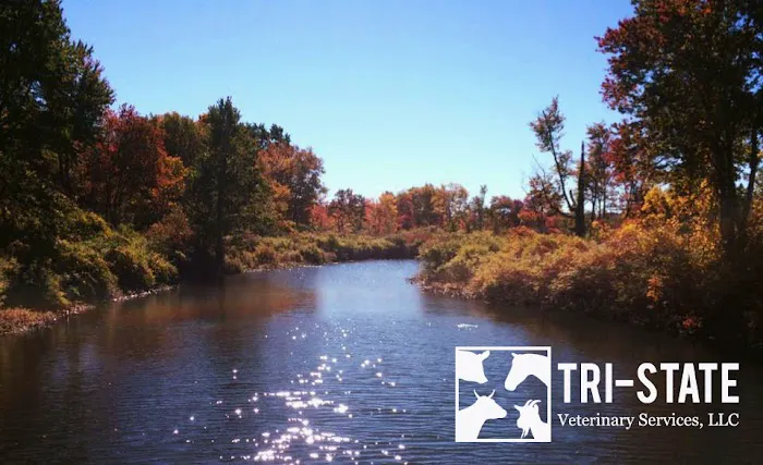 Tri-State Veterinary Services, LLC 12