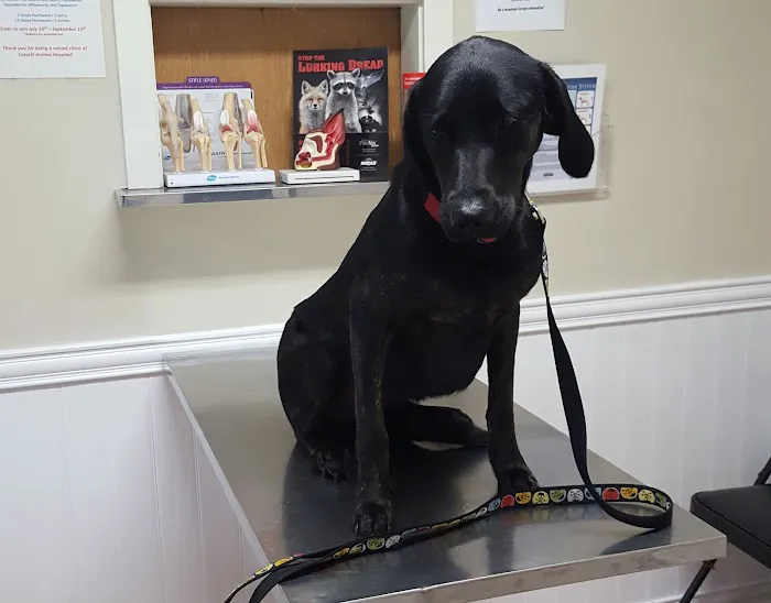Catskill Animal Hospital 3