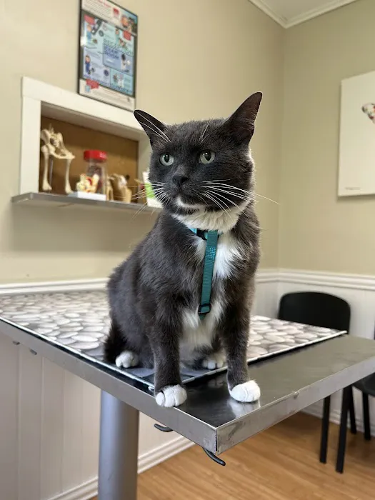 Catskill Animal Hospital 10