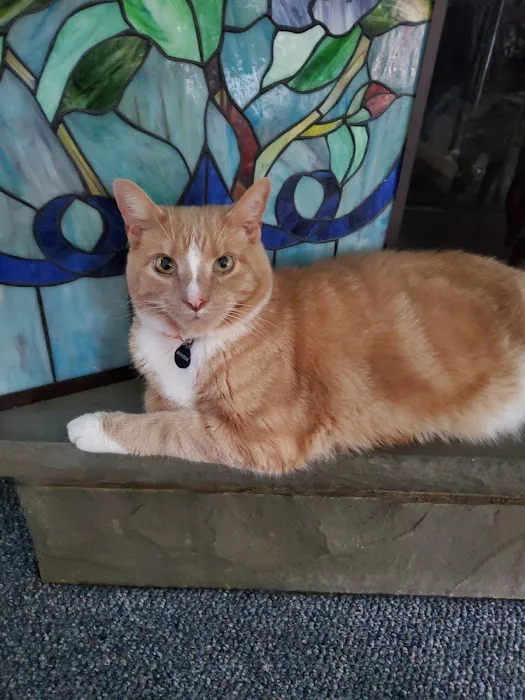 Catskill Animal Hospital 9