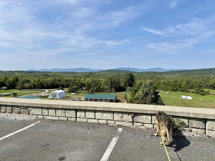 Mountainview Animal Hospital 6