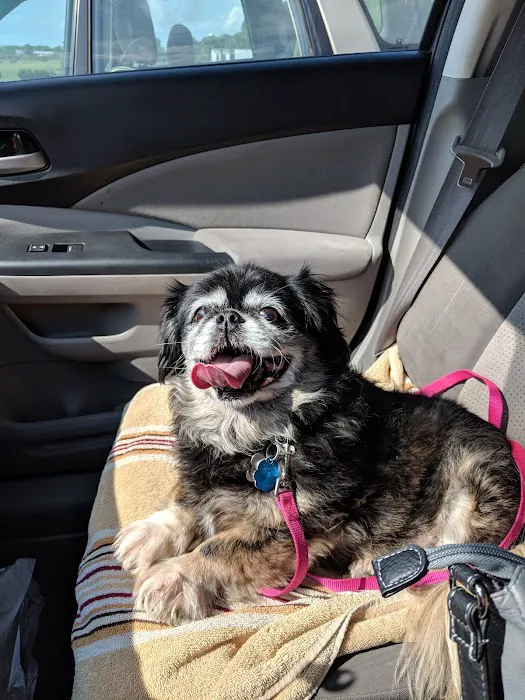Mountainview Animal Hospital 9