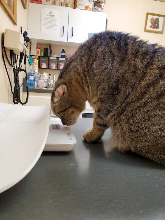 Hudson Veterinary Clinic 12
