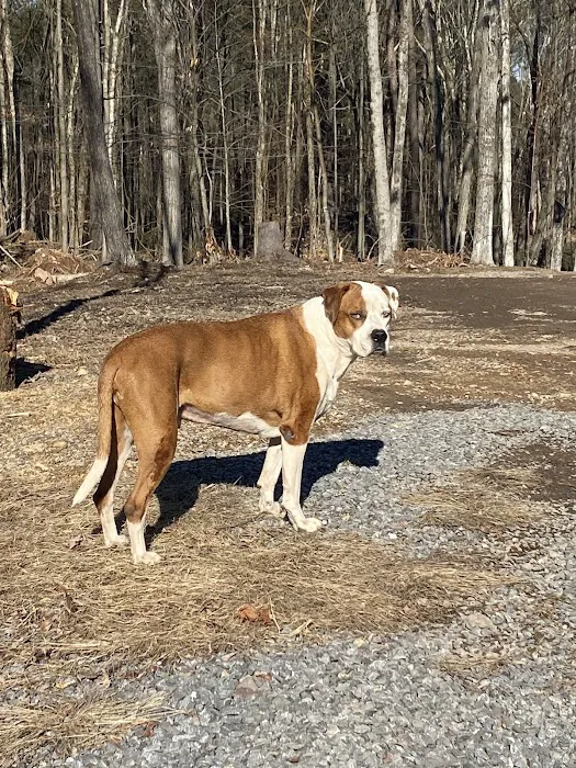 Hudson Veterinary Clinic 12