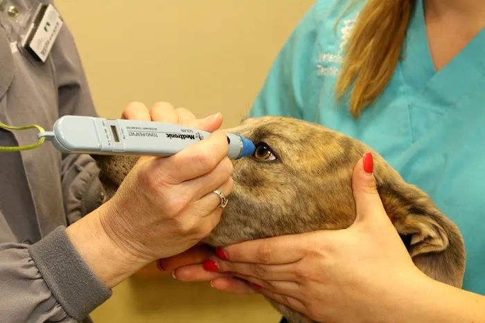 Litchfield Veterinary Hospital 5