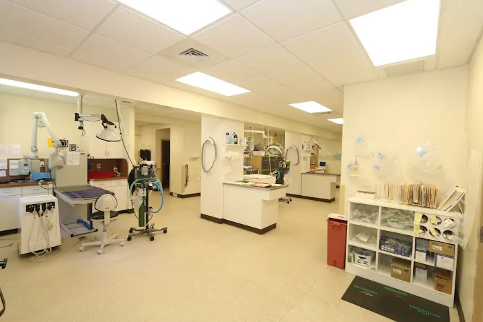 Litchfield Veterinary Hospital 3