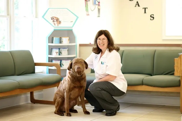 Litchfield Veterinary Hospital 1