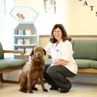 Litchfield Veterinary Hospital ico