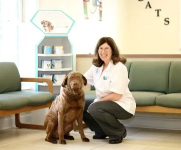 Litchfield Veterinary Hospital