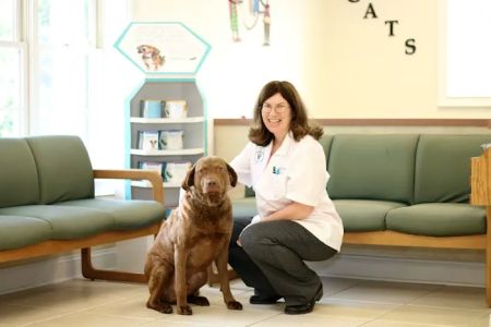 Litchfield Veterinary Hospital