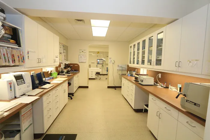 Litchfield Veterinary Hospital 7